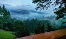 IMG-20250719-WA0031-01